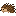 Card icon